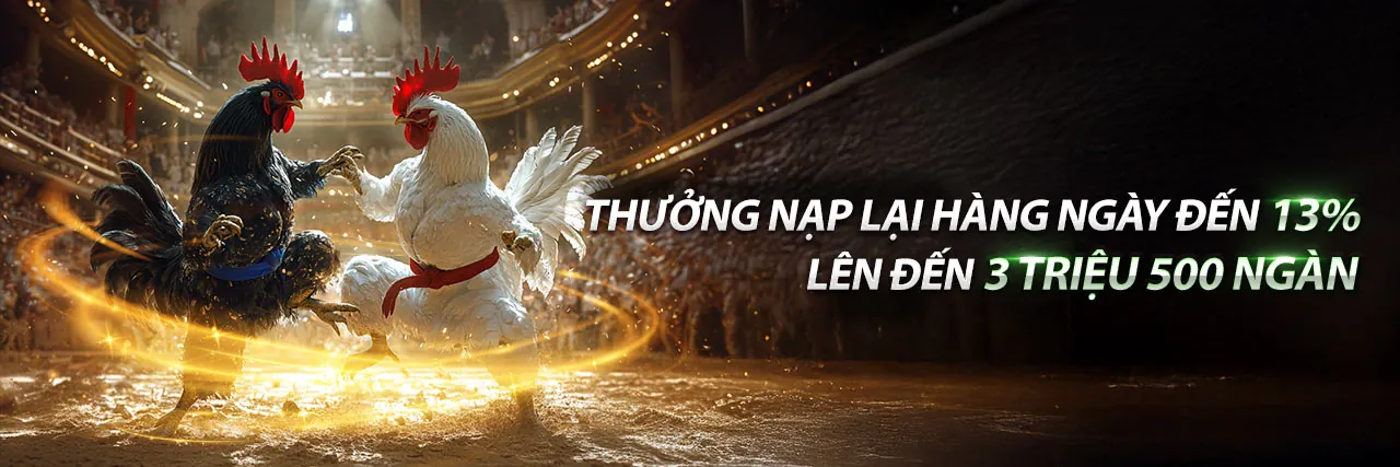 Chiến lược trò chơi sòng bạc trực tiếp m8m8