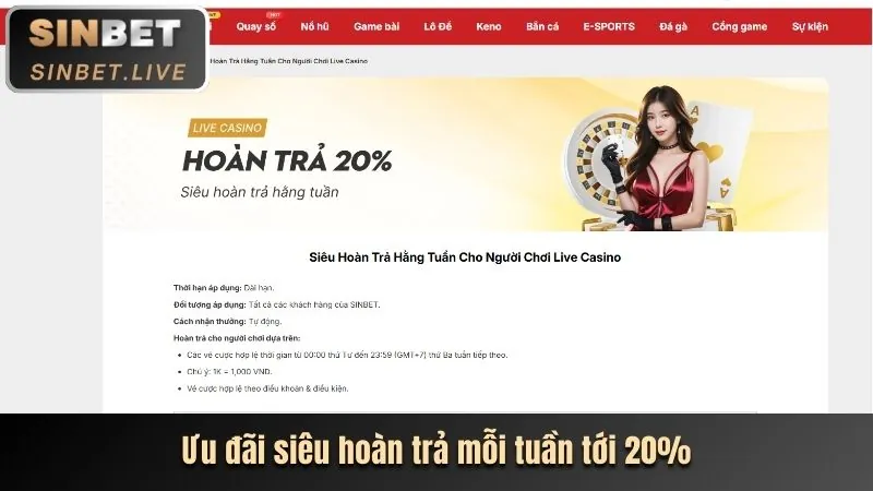 Hoàn trả cao m8m8